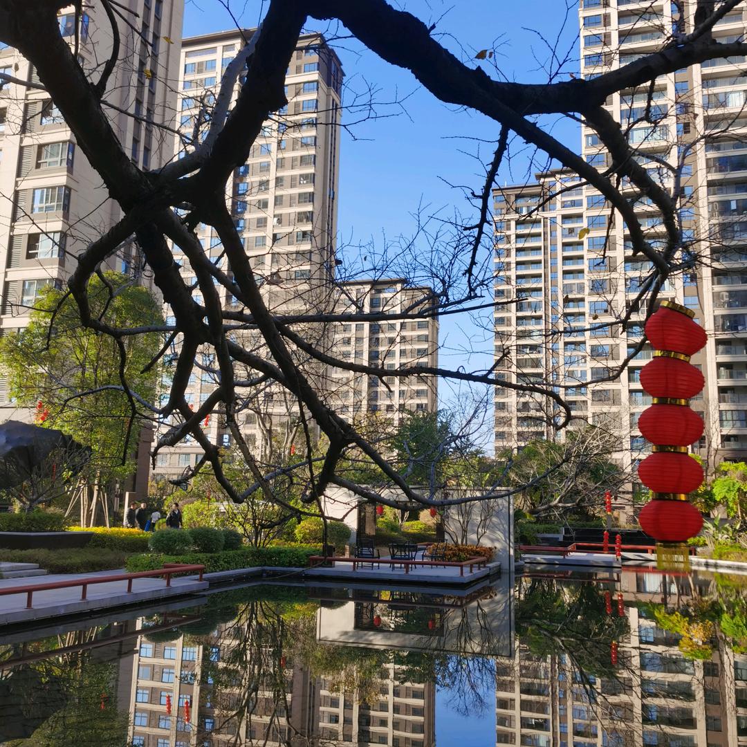 @陈光锋（一手楼盘免佣金团购价一定帮你省