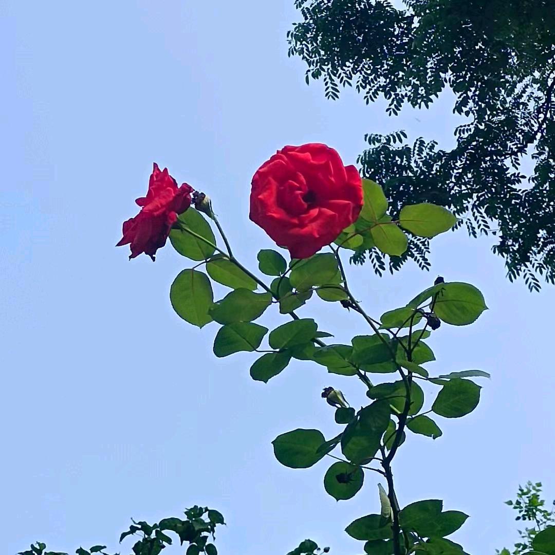 顺其自然！！！！！！！