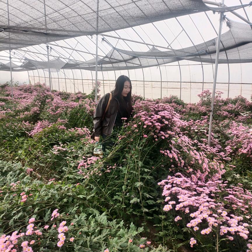 燕子 @优品分享