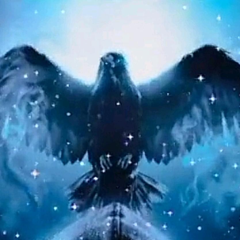 人❄生⛪陌❄路