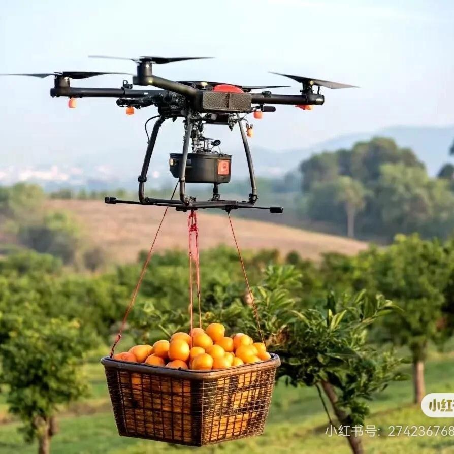 巴中无人机吊运