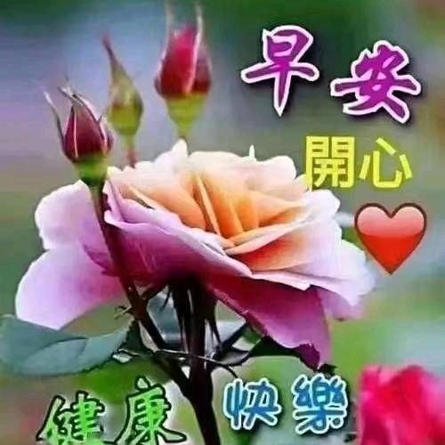 笑傲人生