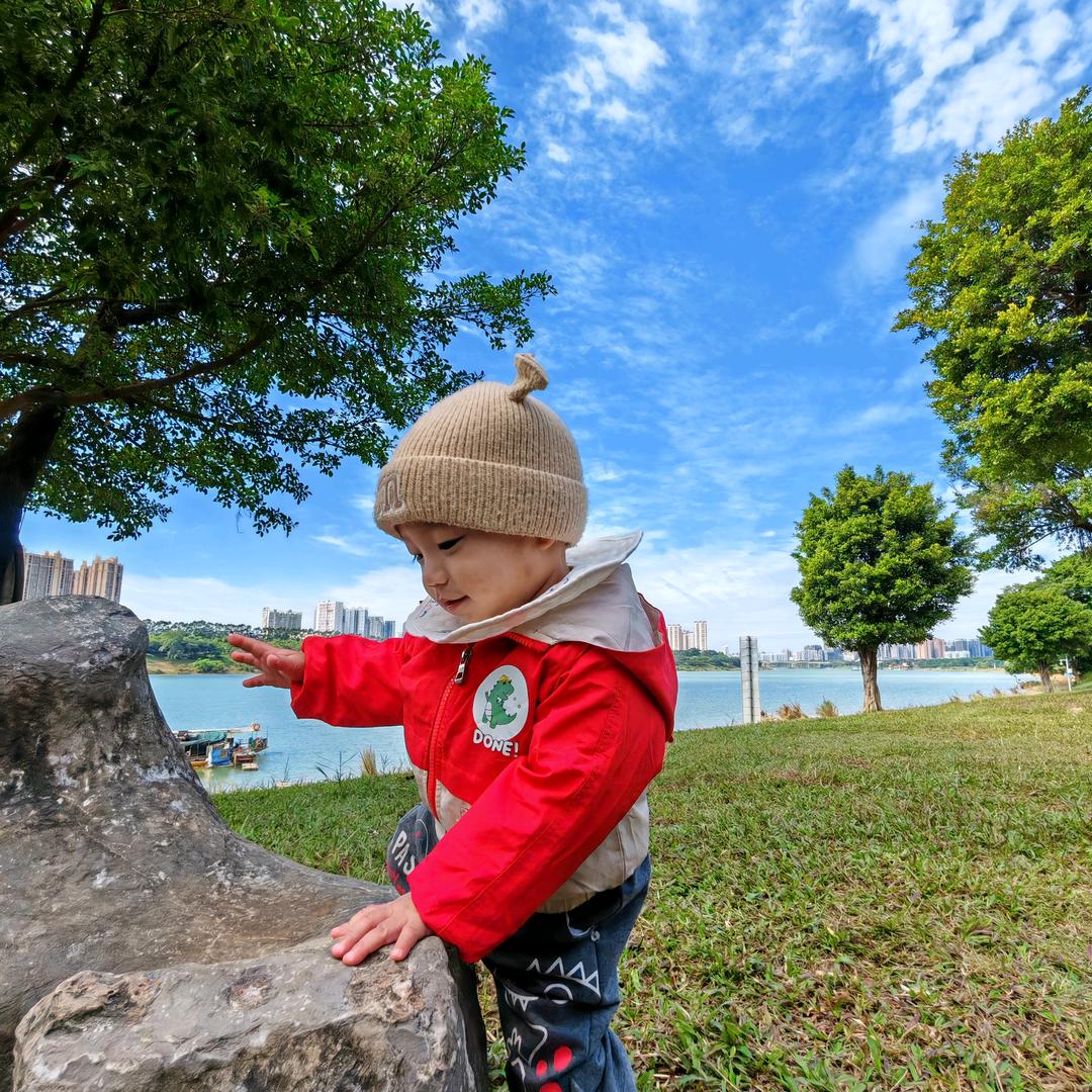 自律的跑刀鼠鼠。