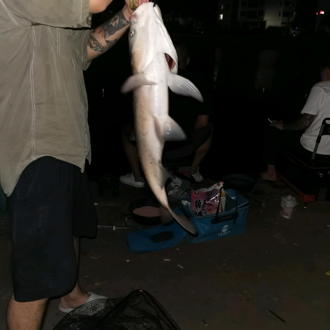 胡哥爱钓🐟🐟🐟