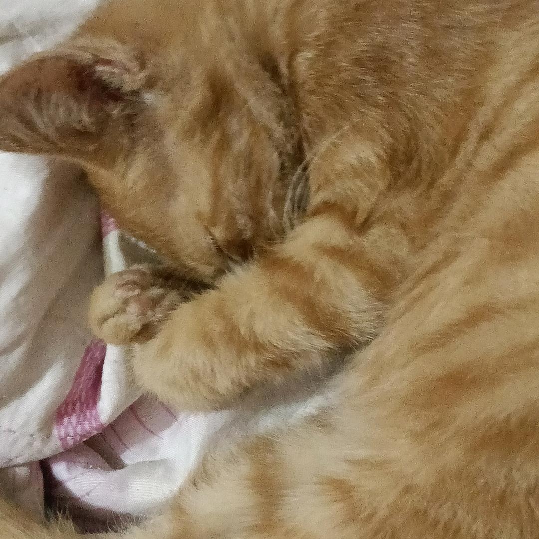 我家有一个听话的女孩