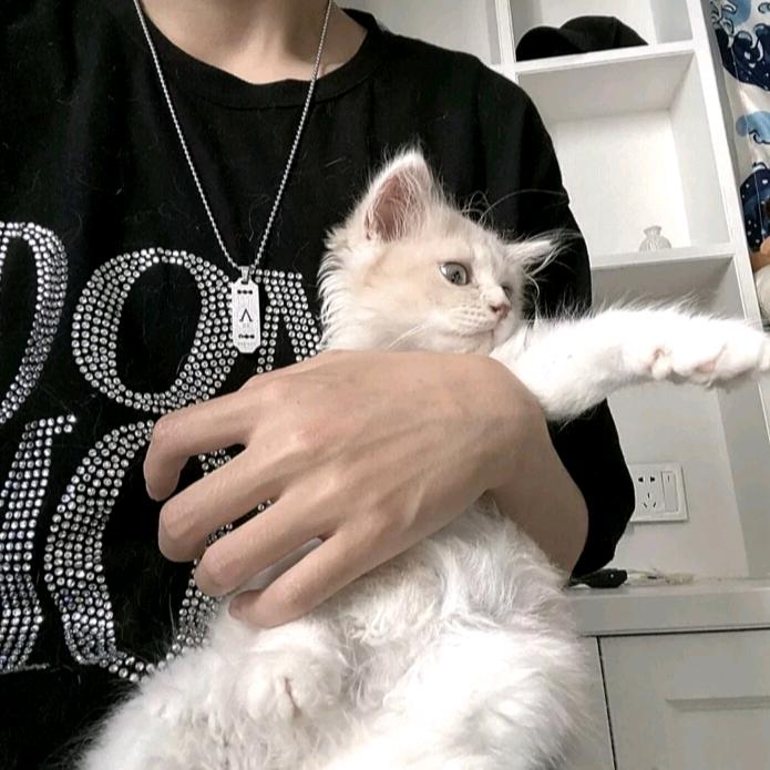 loezl（受气包）