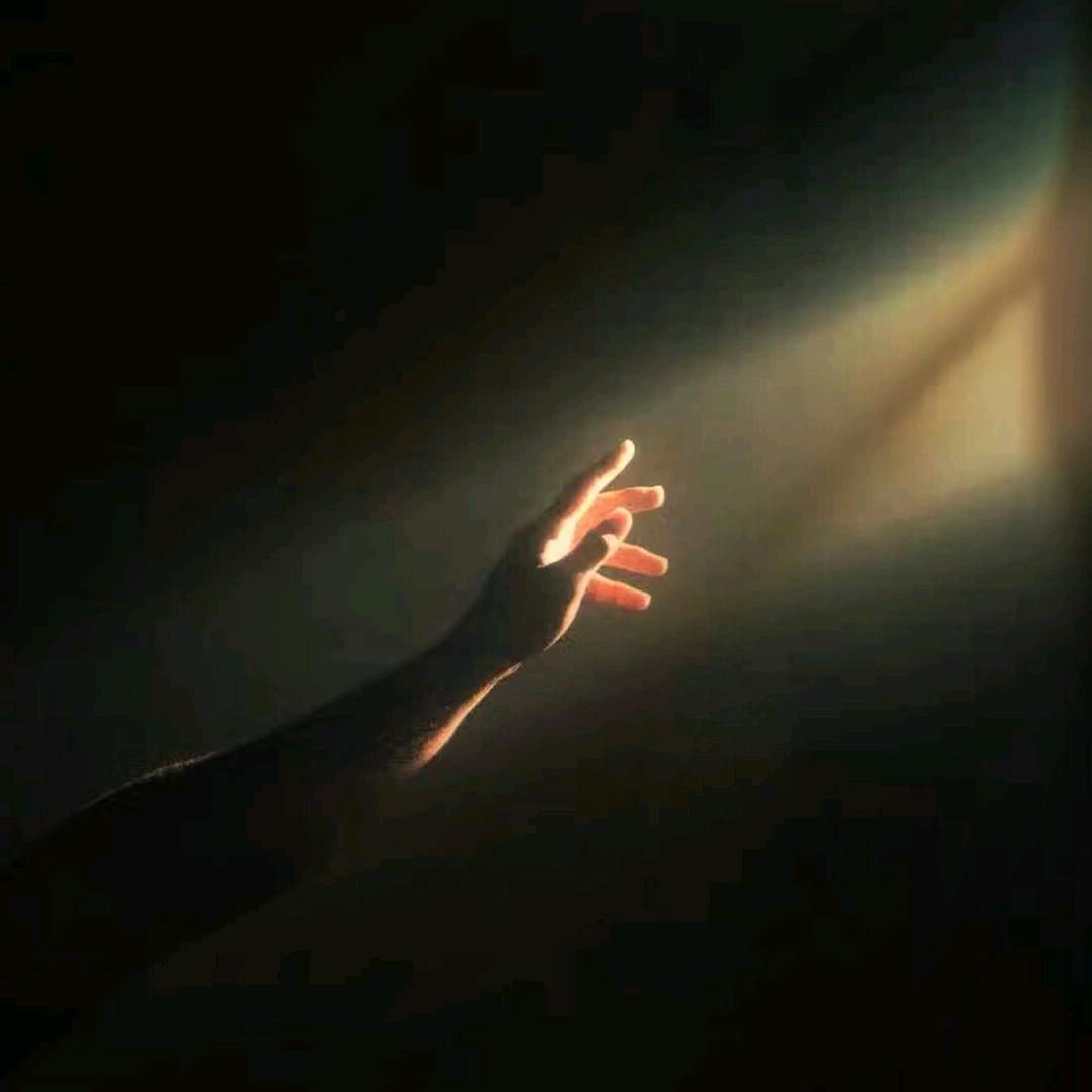 双林