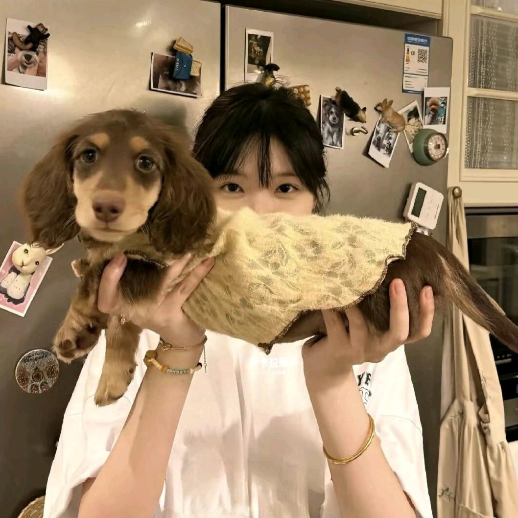 骑着帅哥追电车