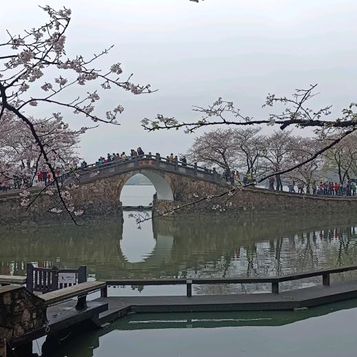 风雨人生