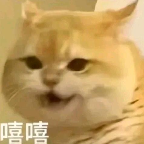 pszs