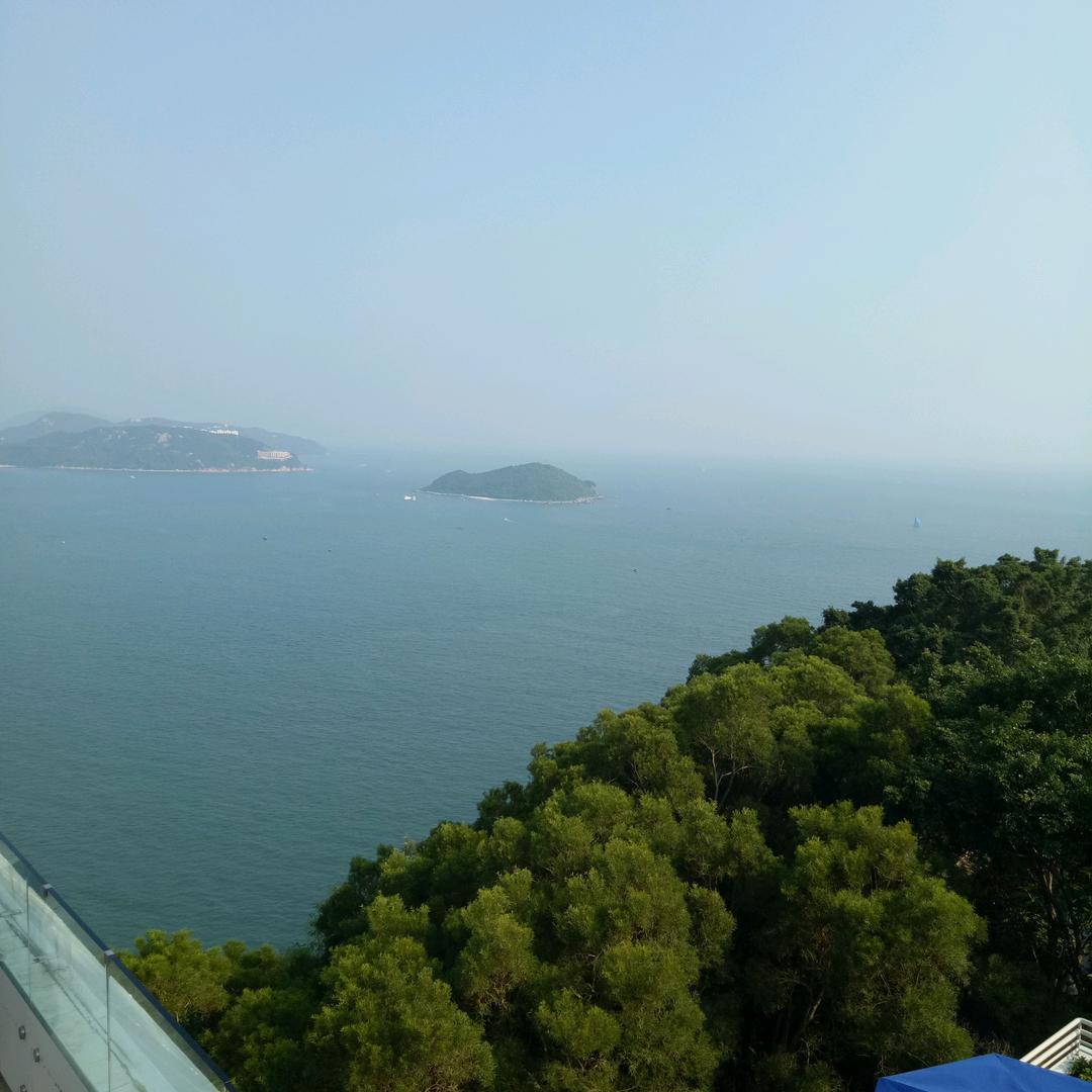 乐乐
