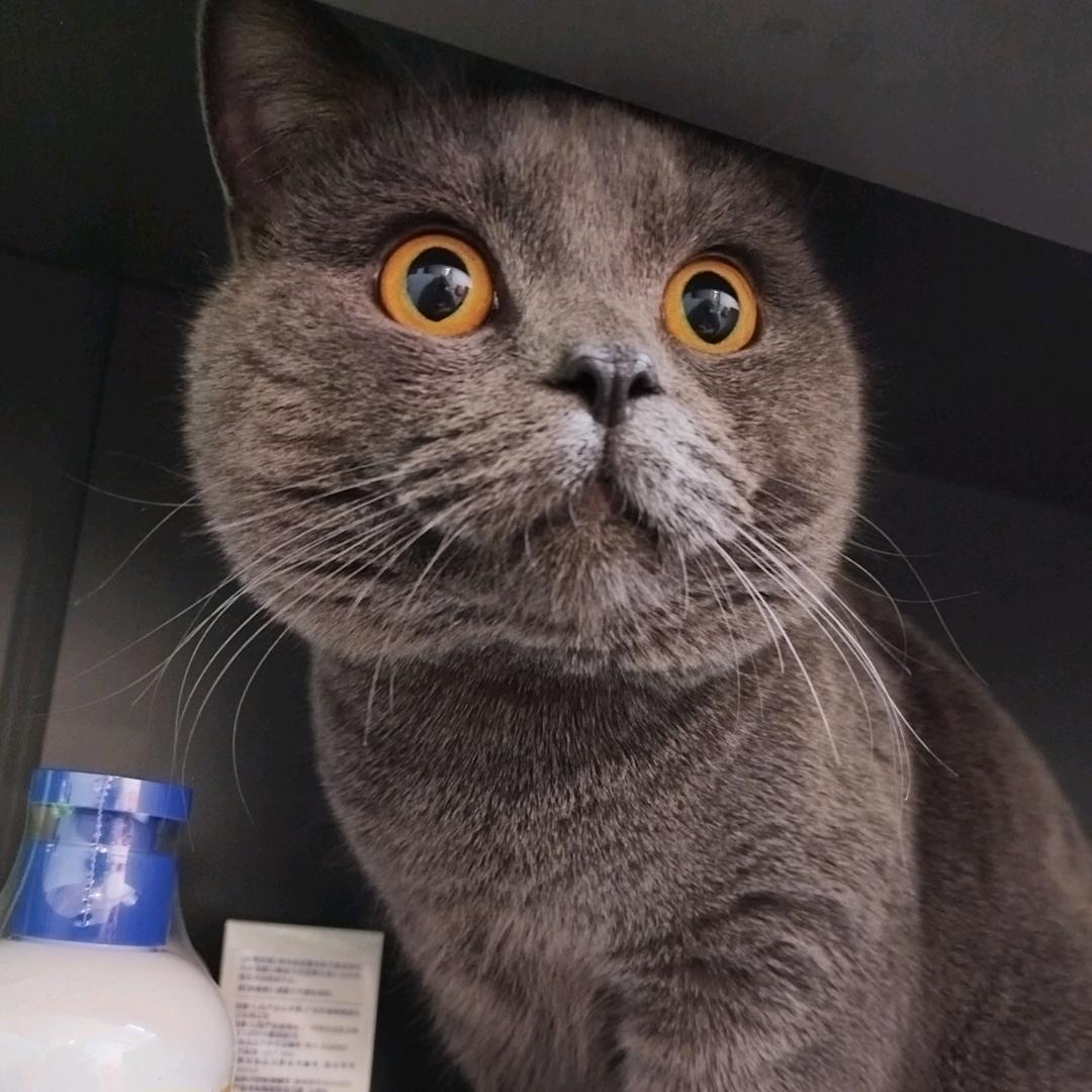 佛了