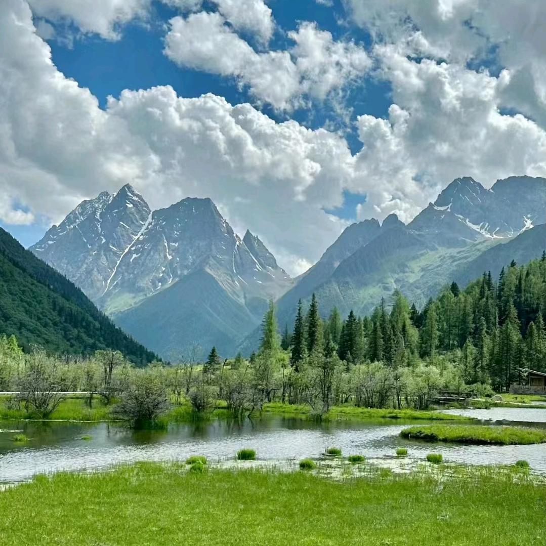 苹果团助(交友助力)
