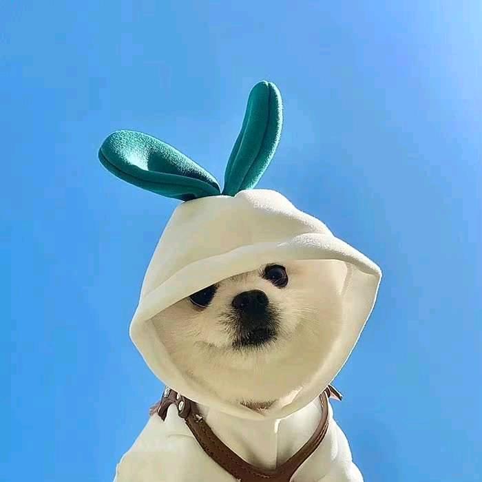 万睿biu特否