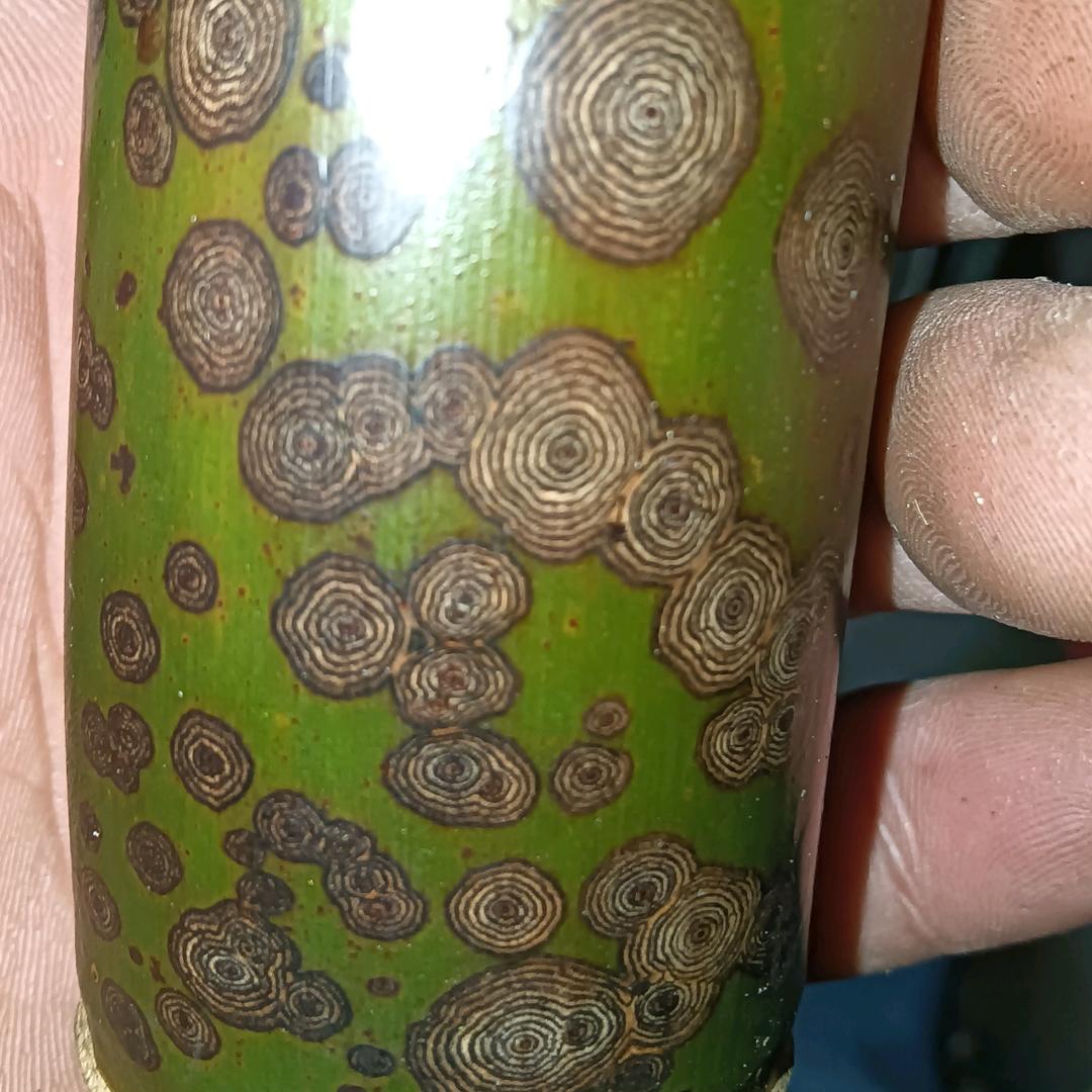 一切随缘就好