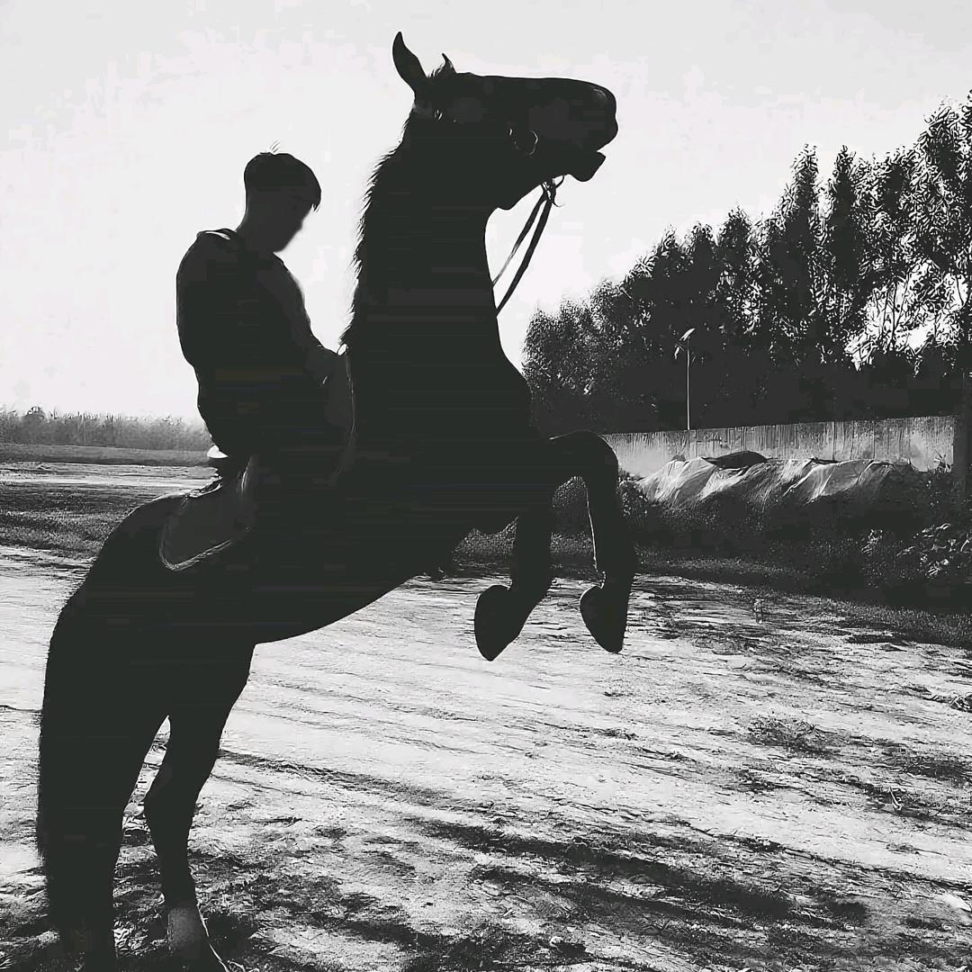 爱吃泡面的英雄