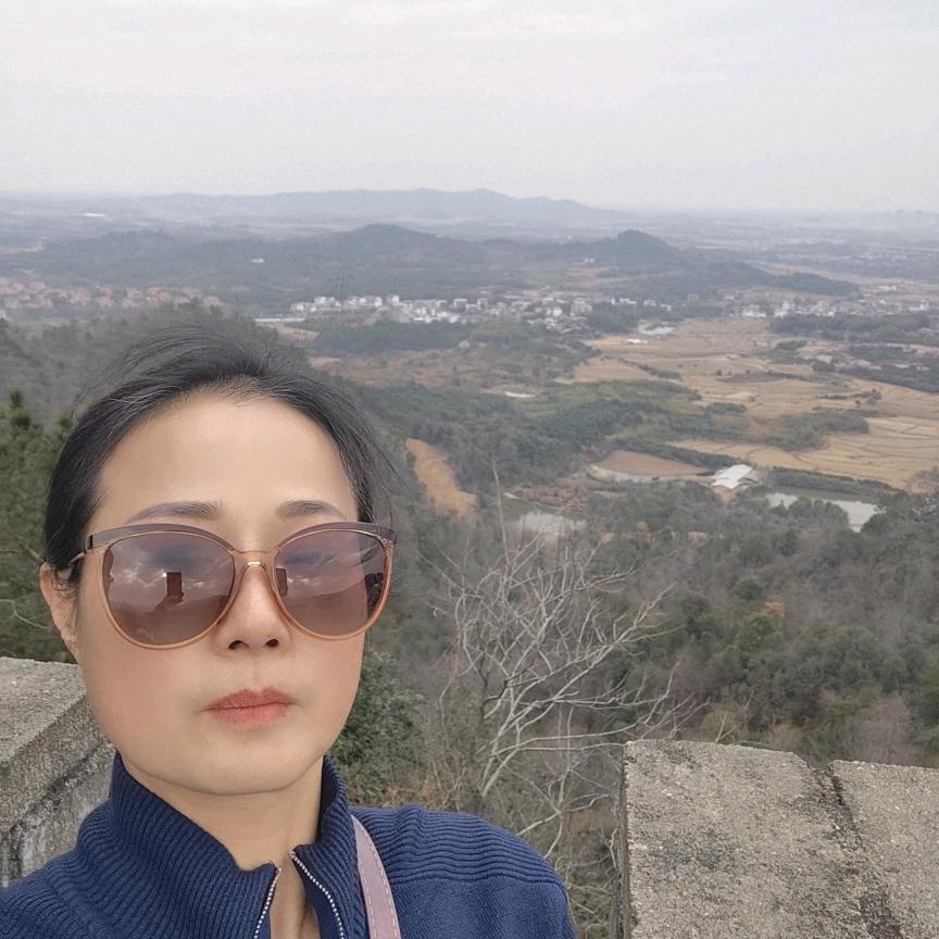 西小侠中国鲜肉饼招商