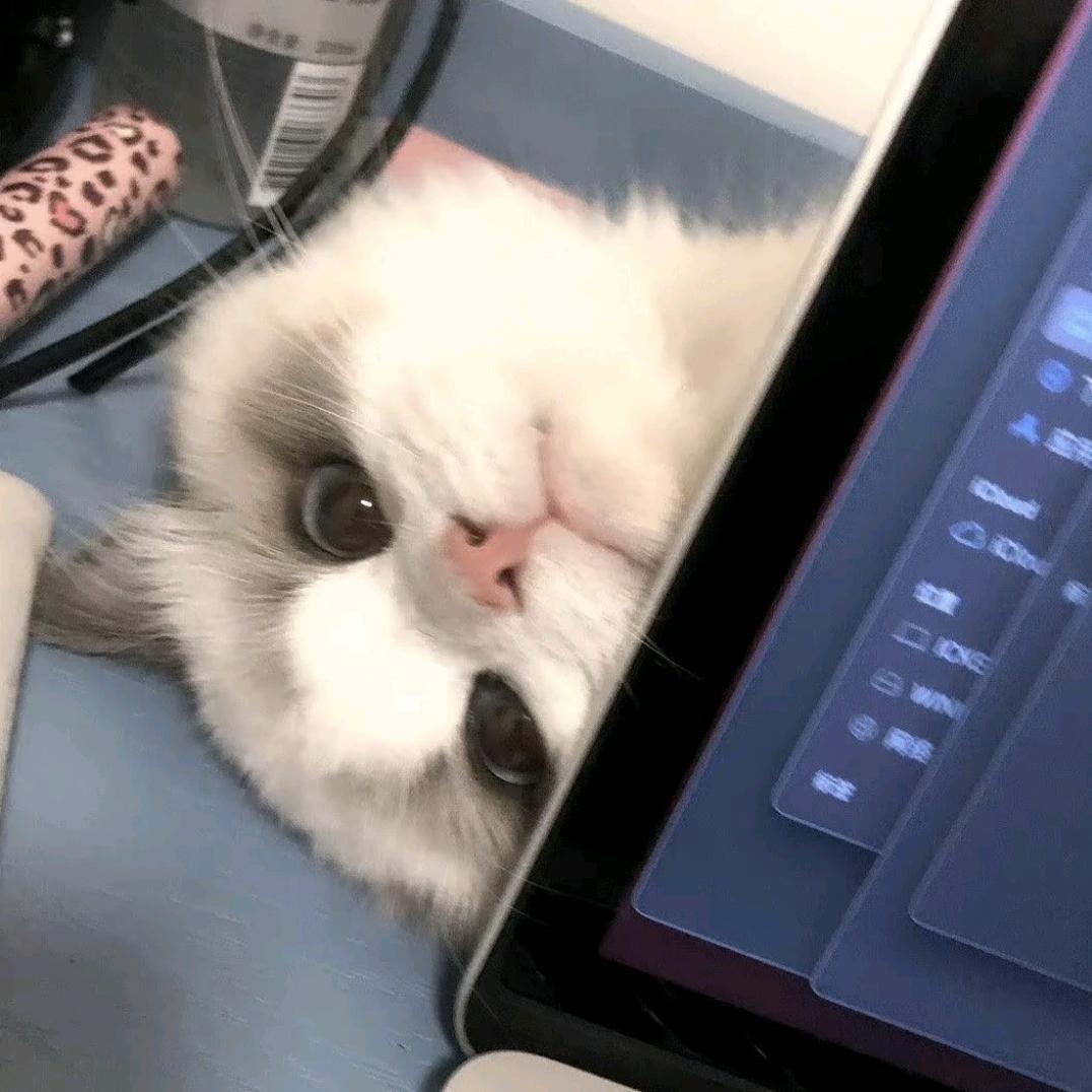 掌灯十里.