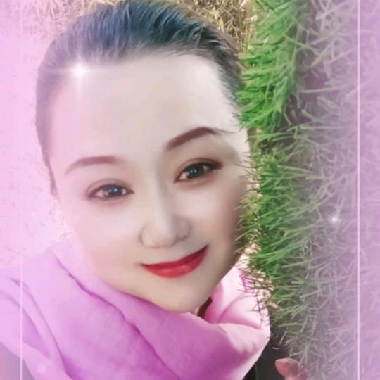 灿烂的阳光（好物分享）