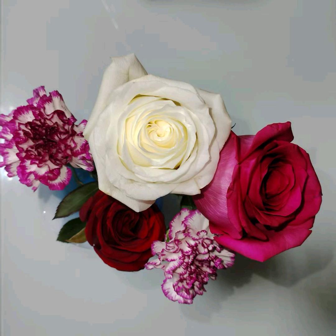 ❤️沉默不言❤️