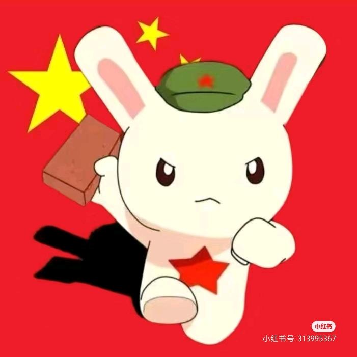种花家的兔子-（秃子）