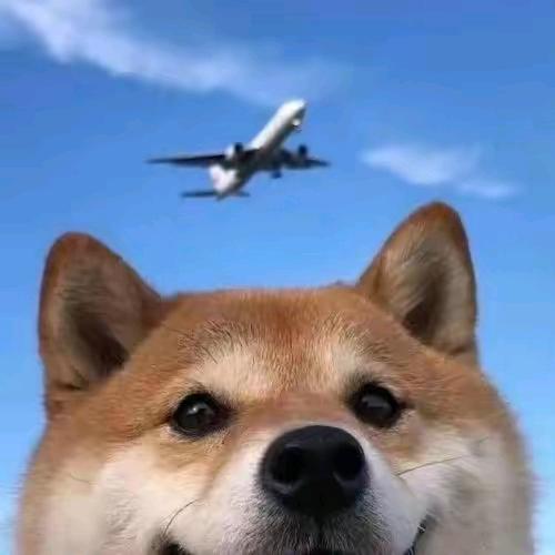 金鑫
