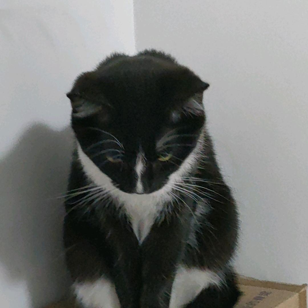 尔涵