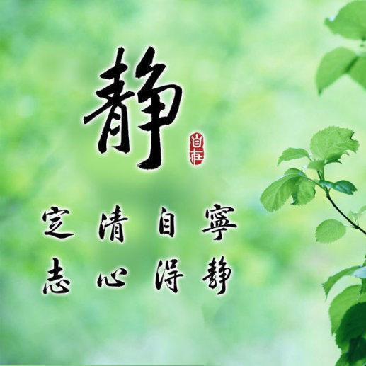 刘老师乙