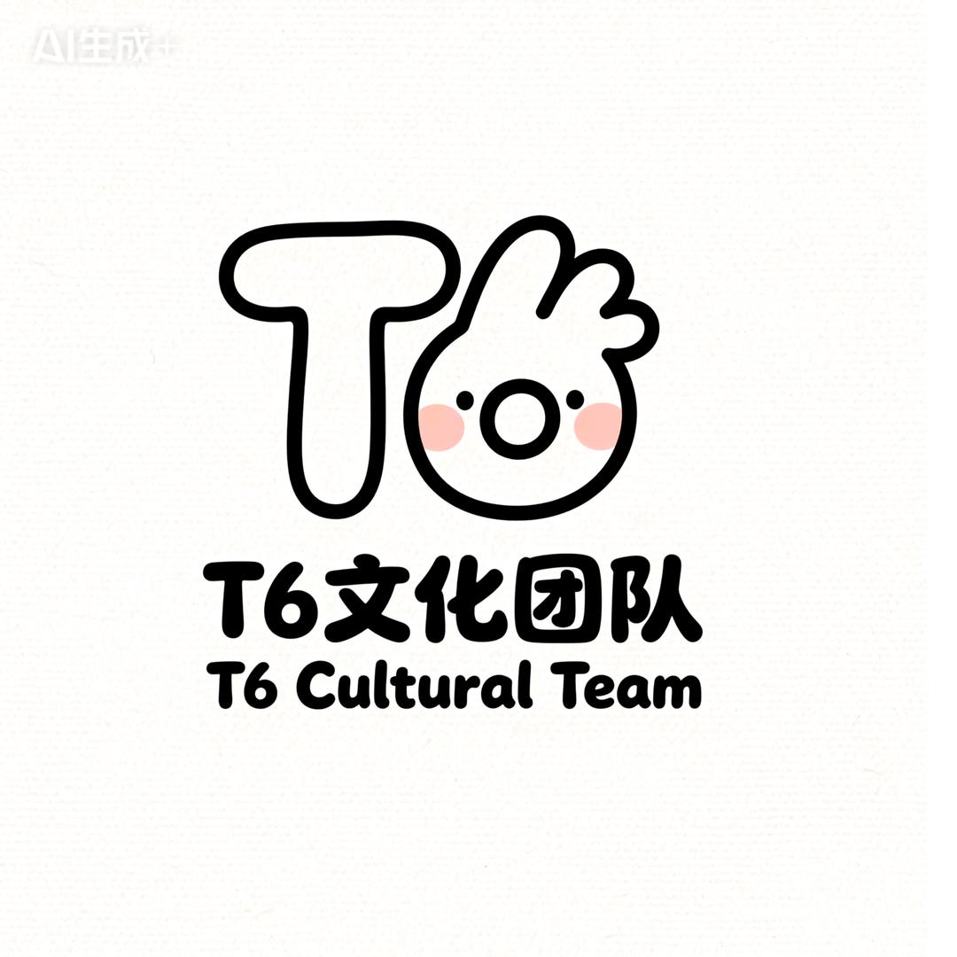 T6文化团队