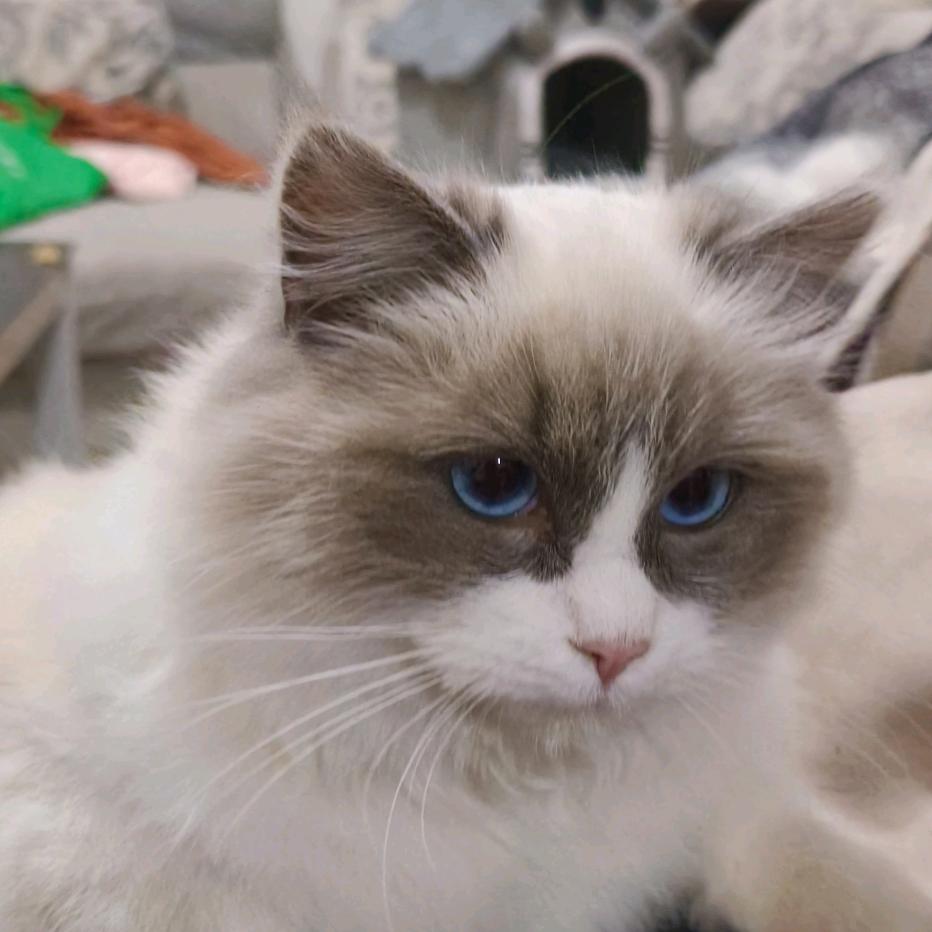 秀儿✺◟(∗❛ัᴗ❛ั∗)◞✺