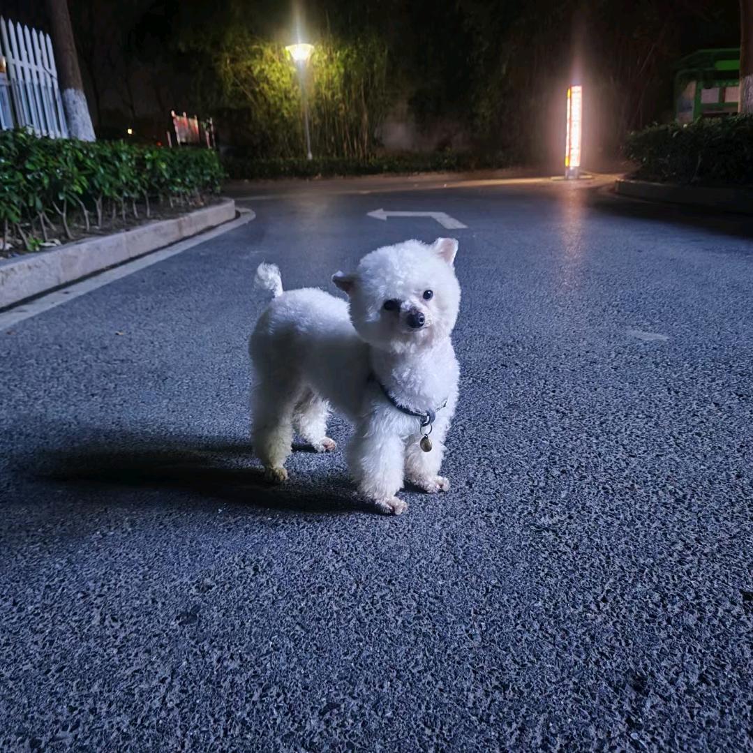 💖独坐城中之客あい❤️