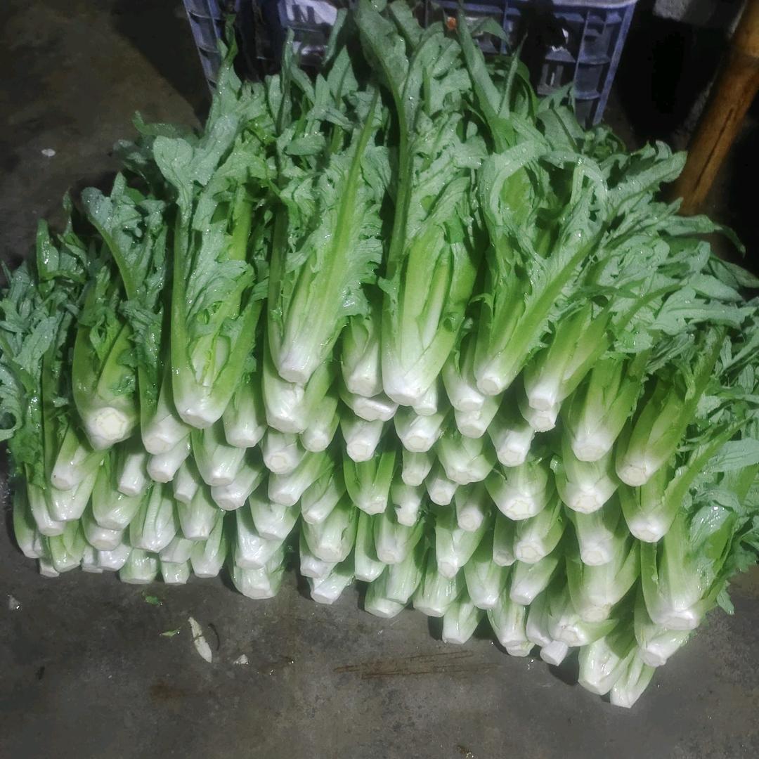 袁康广的小康农业优品小铺