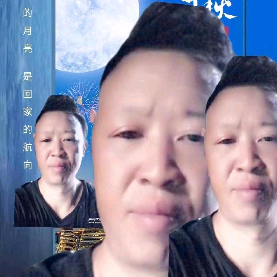 孤单小鸟受伤害
