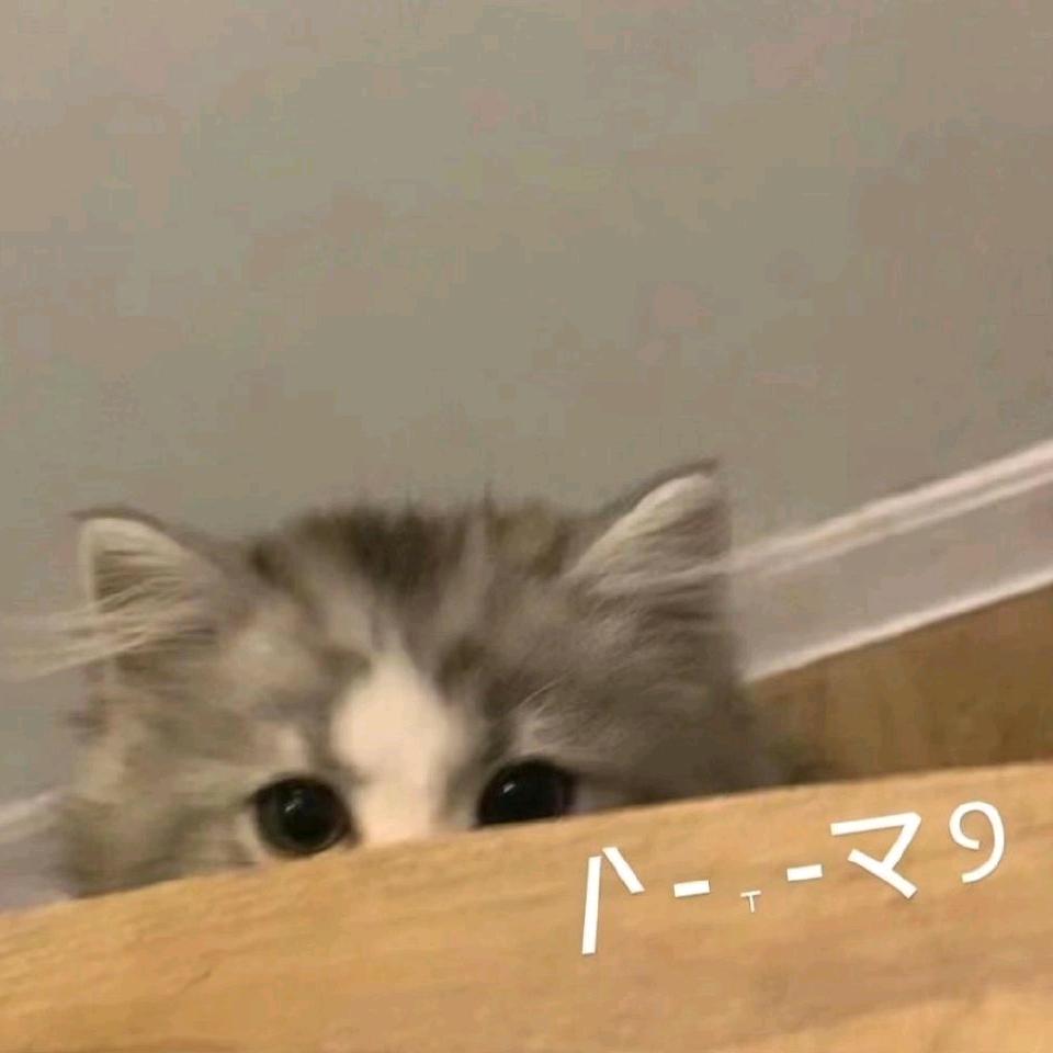 枭笙