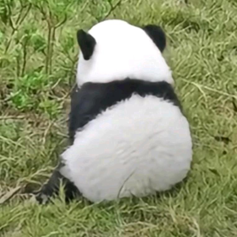 背影☞你得不到