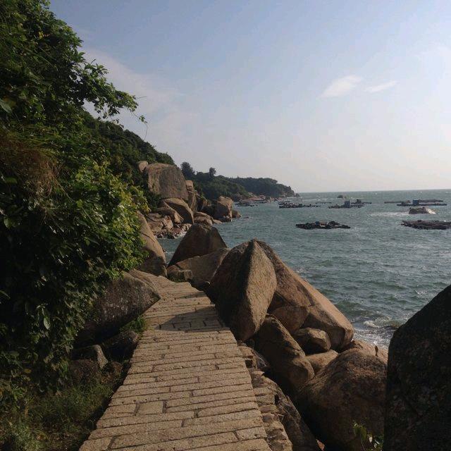 魅影火焰🎵
