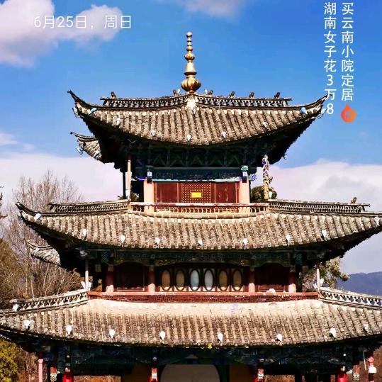 贵哥