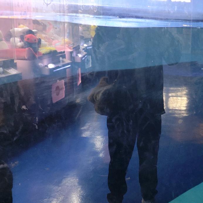 求好运眷顾我一次