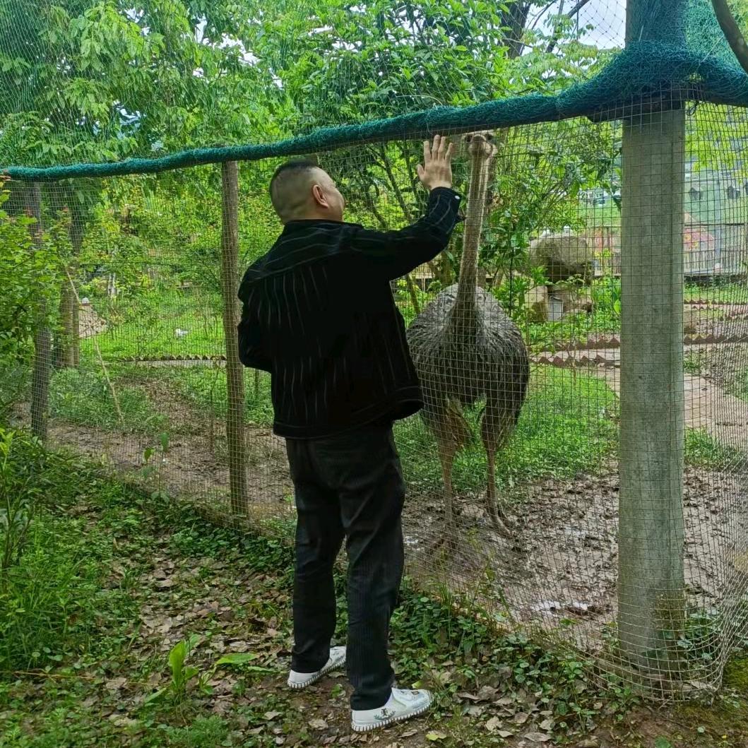 &快乐大叔&