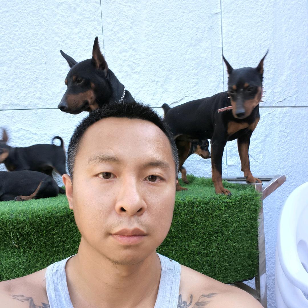迷你宾莎北京赛级犬舍(主页有介绍)