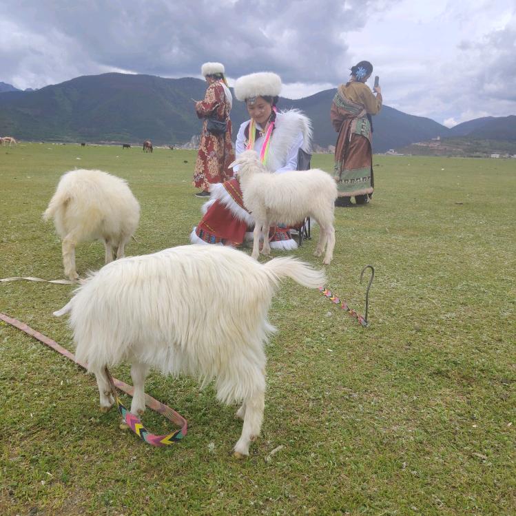 华尔兹