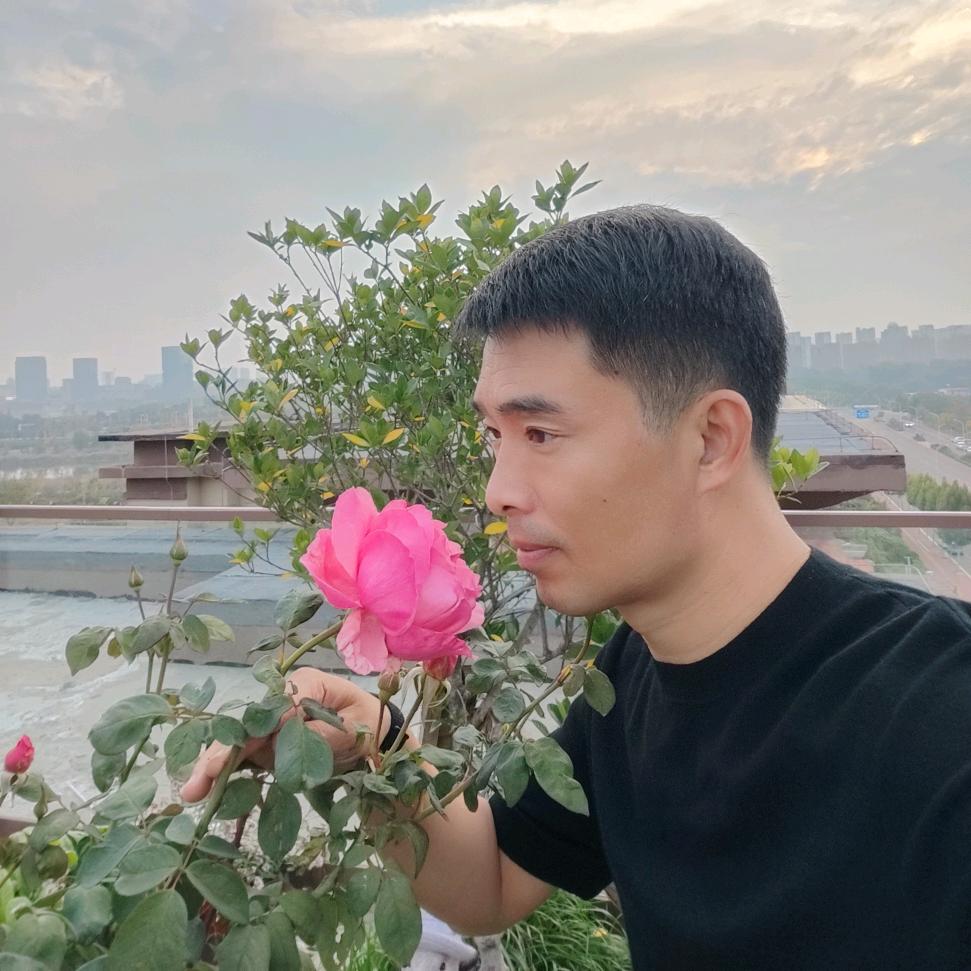登高光明