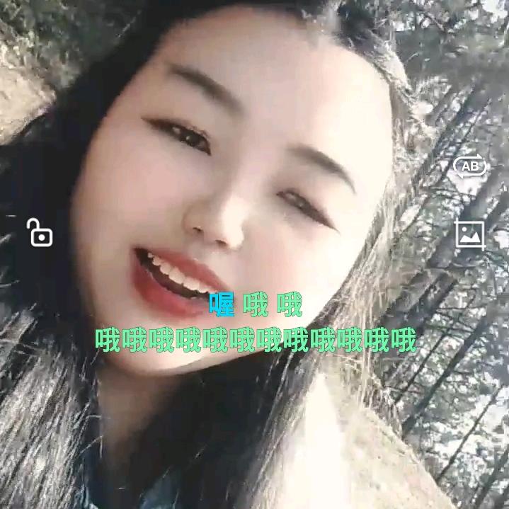 会