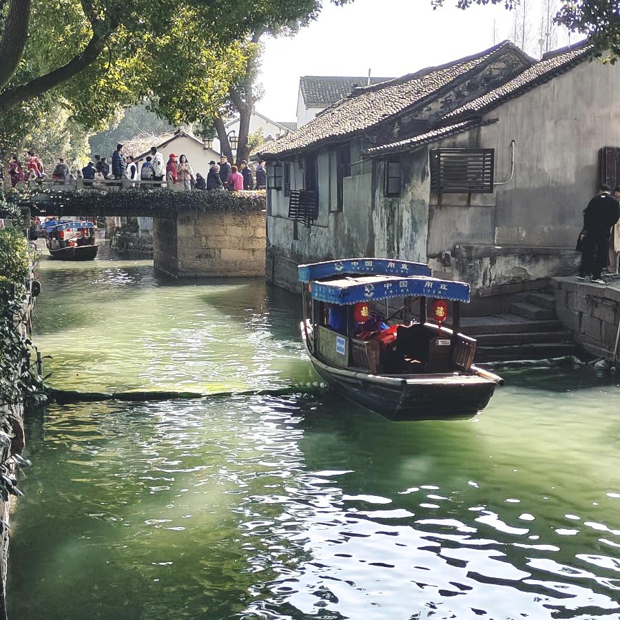 袁财财            ╲