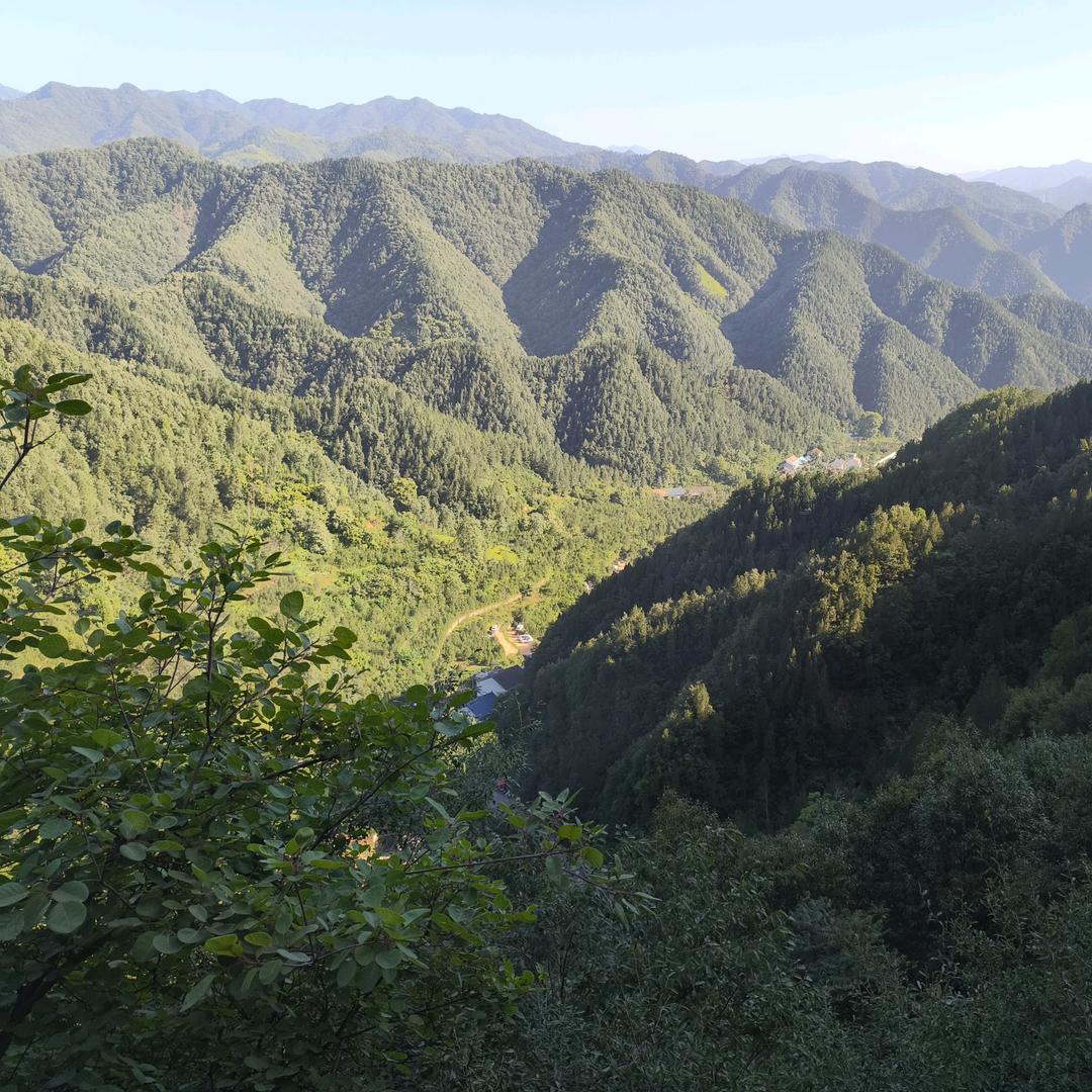 刘宇哲
