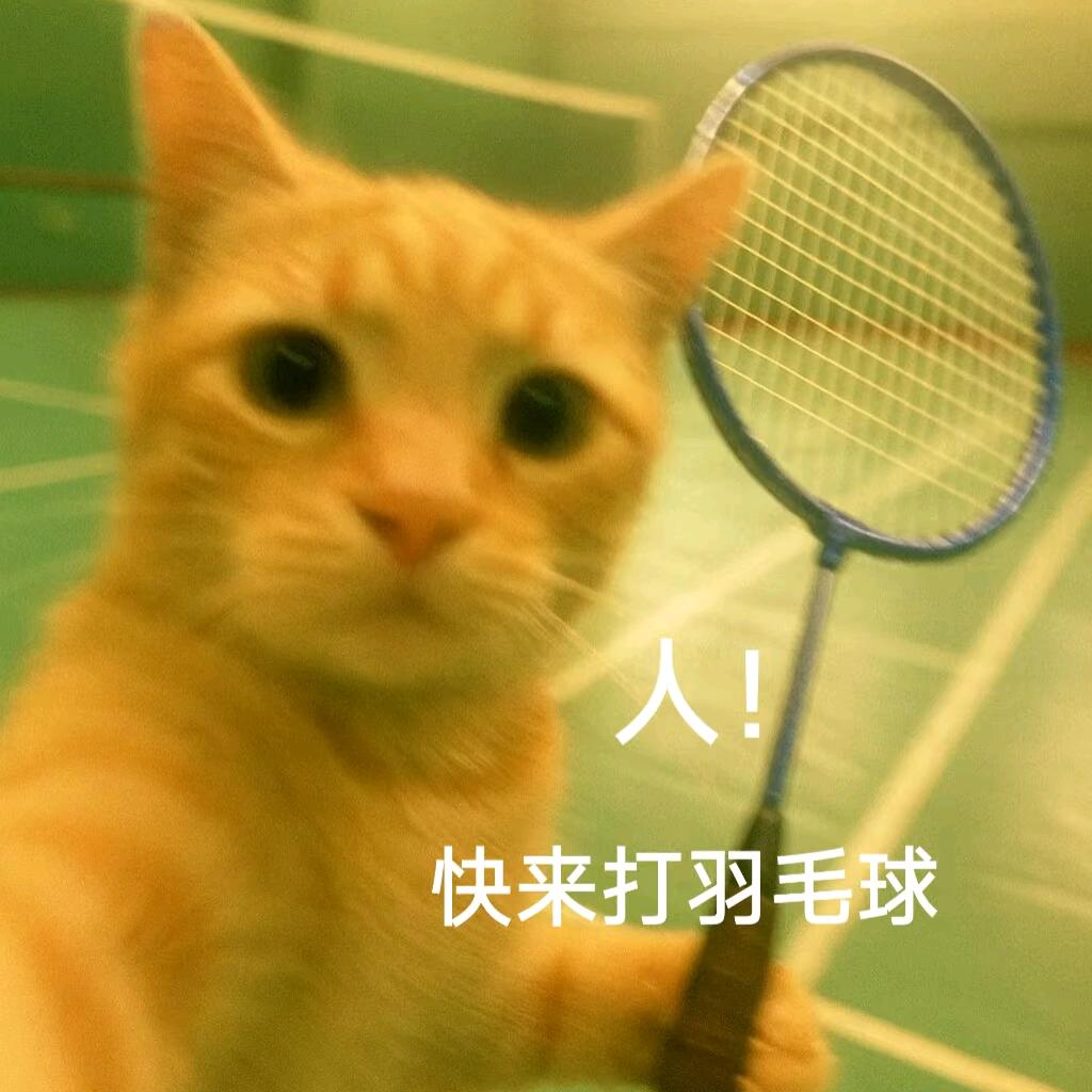 酷籽米🌾