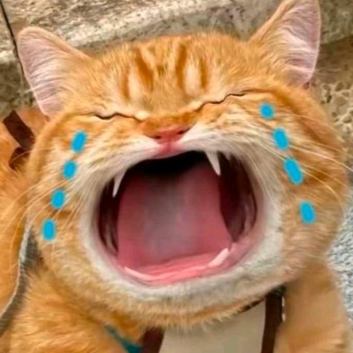 八荒竹