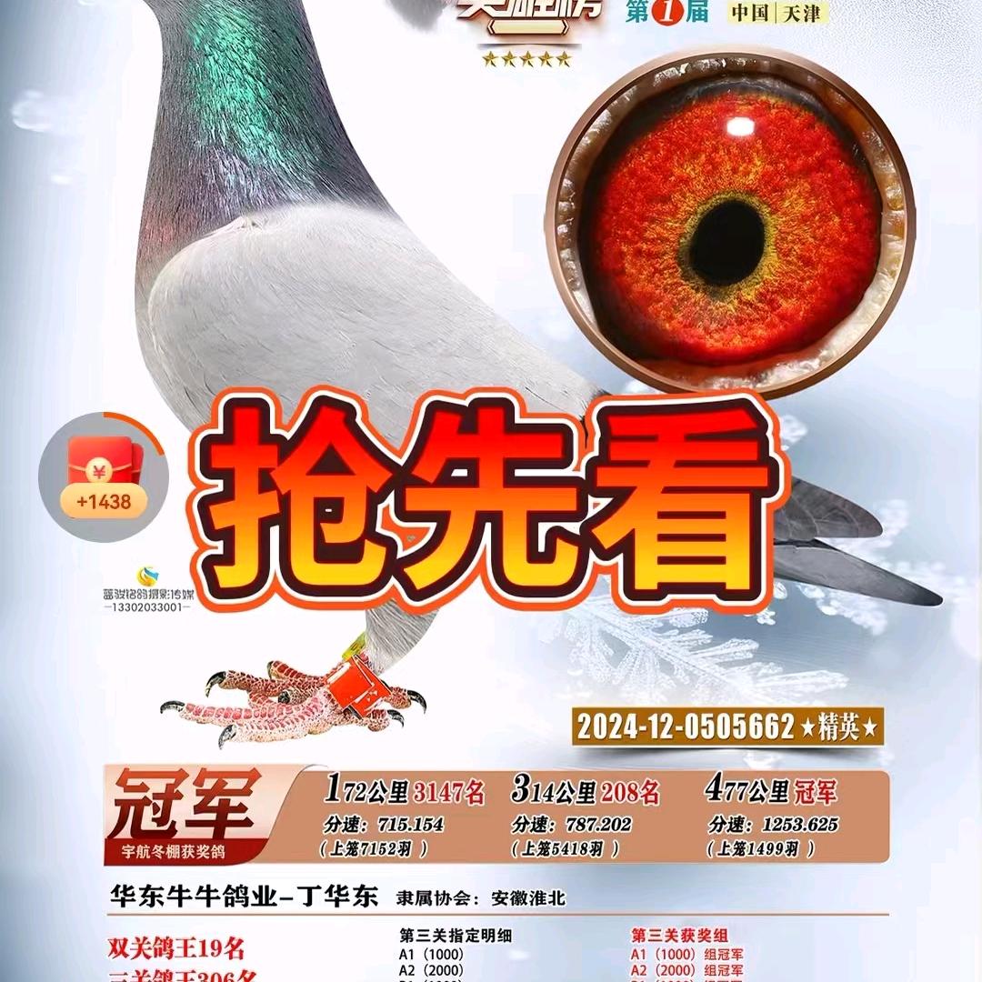 华东牛牛鸽业a999999