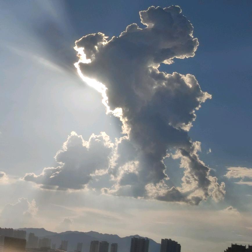 小琴(好物分享)快去收藏吧!