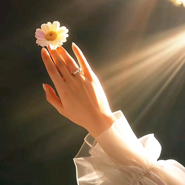 筱张不嚣张♥顺李成张♥